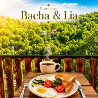 Guesthouse Bacha & Lia - 9