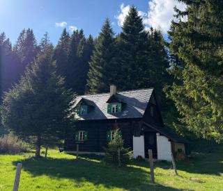 Almhütte am Steirischen Seeberg - Turnau - 0