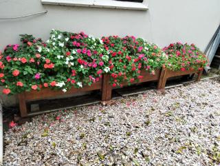 Wilreco self carting 2 bedroom flat. - 8