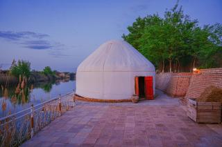 City of Magicians Yurt&Desert Experience - 5