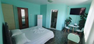 Vila Negru - 6