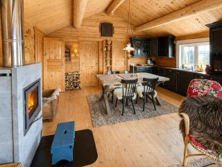 Log Cabin With Turf Roof And Sauna In Hovden - 3