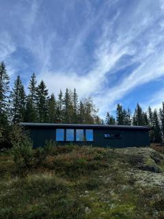 Trysil Cabin At Jevnaker With Scenic View - 9
