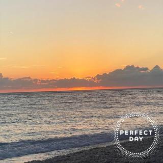 Perfect Day Luxury Residences - 1