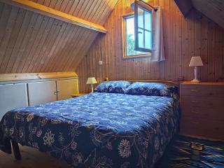 La maison bleue - 1