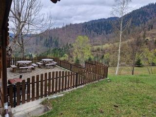 Deer Chalet - 6