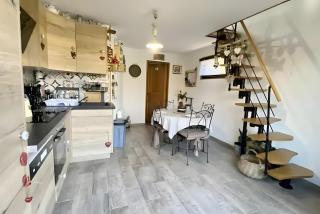 Les Anatidés, Quend - 5