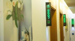 GreenTree Inn Anqing Yuexixian Wenquan Branch - 2