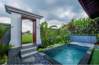 Serene Villa with Private Pool and Rice Field Views - 0