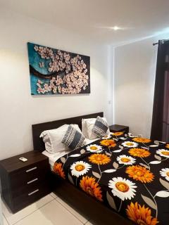 Luxury Two bedroom Apartment - 3