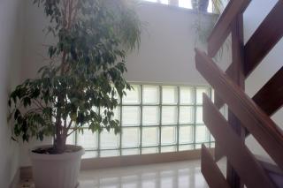 Guest House Marta - 1