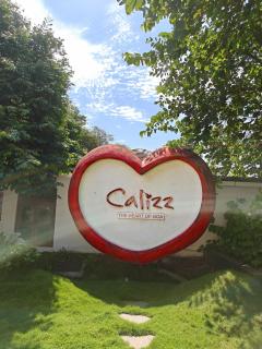 Calizz - 9