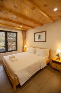 lat valley villa - 5