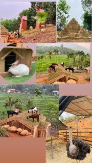 Pù Luông Farm-Homestay & Coffee - 8