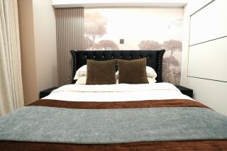 Luxury 2-Bedroom at Polaris Residency - 3