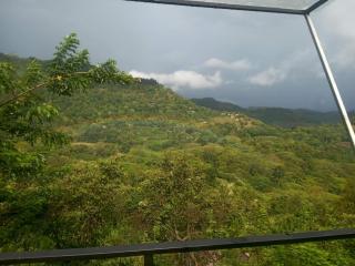 Gamunu Waththa Eco Resort - 5