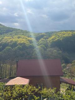 Casa de Vacanță Haneș - Private Cabin - Orchard & Mountain Views - Transalpina & viaTransilvanica - 8