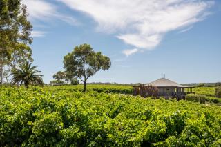 The Highland at The Vineyard Retreat McLaren Vale - 5