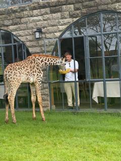 Giraffe Manor Tanzania - 1