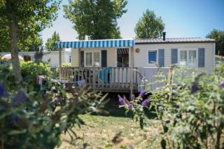 ZEcamping 4 pet friendly terrain multisports piscine couverte - 8