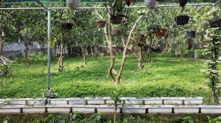 AN Garden Homestay - 5
