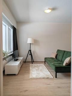 Nordic Nest 45m2 Sauna Parkkipaikka - 4