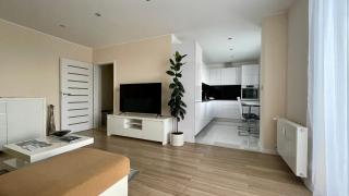 Modern & Sunny City Center Apartment, free parking - 0