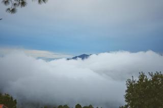 Darbar - A Heritage Farmstay by Guldar Hotels - 4