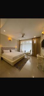 Rudra Hotel And Resort ! New ! Mountain ! Kasauli - 9