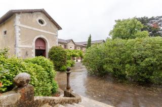 Chambres d'Hôtes Chateau Habas - Habas - 1