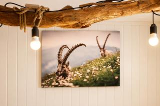 CROWN LIVING Holiday Home "Zum Klettersteig" Bürs, up to 18 guests - Sauna - Climbing Wall - Ski & Bike Storage - Highspeed Wifi - Free Parking - 8