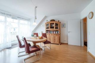 Ostseemöwe - 5