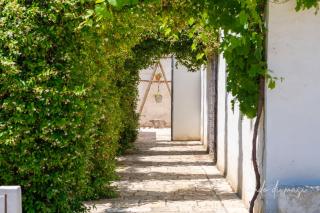 Masseria Giangrande - Rooms and Apartment - 8