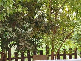 Madinaty Summer cottage - 1