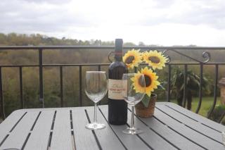 Countryside Views Near Sarlat - Goats, Ducks & Chickens - Farm Experience - 6