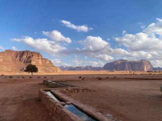 Wadi Rum Moon Camp - 9