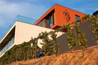 Quinta Vale de Lobos - 3