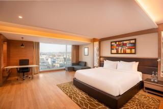Radisson Udaipur - 6