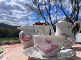 Countryside Views Near Sarlat - Goats, Ducks & Chickens - Farm Experience - 8