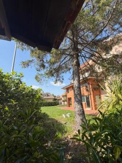 Firmamento Royal House - 4