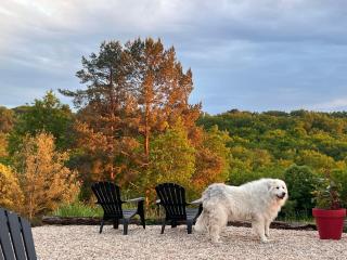 Countryside Views Near Sarlat - Goats, Ducks & Chickens - Farm Experience - 2