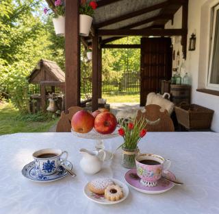 Domek nad Poranną Rosą - w sercu lasu - 6