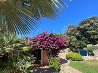 Casa Flamingo - 8