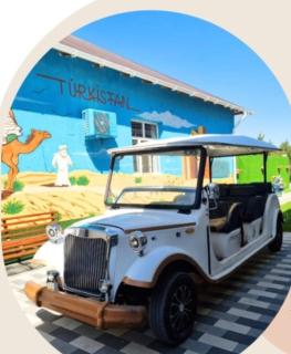 Turkistan Apart Hotel, close to Karavan Saray - 2