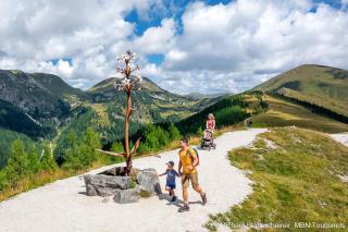 Appartments Bergland an der Brunnachbahn - 6