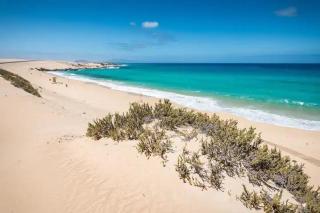 Tamarindo 63, dunes and sun - 3