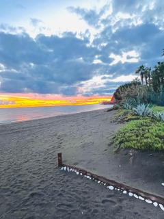 Exclusive Beachfront Penthouse - 1