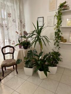 Umberty house - 8