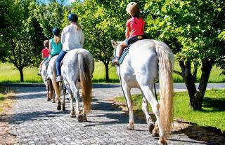 Dunkeld Country & Equestrian Estate - 1