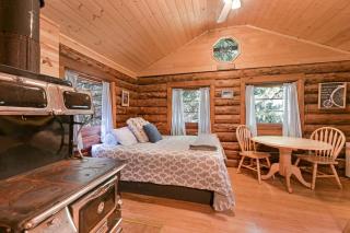 Rustic Off-Grid Cabin with Creekside Views & Sauna Access Near Bear Creek Pond, Hope Alaska - 1